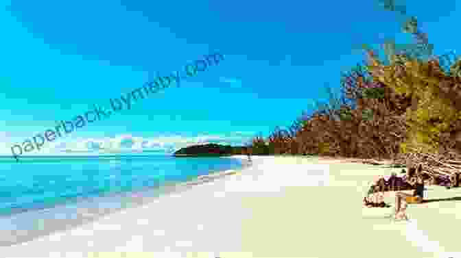 A Beautiful Beach On Cat Island Lifetime Journeys: Explore The Bahamas: Cat Island