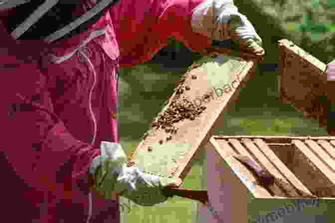 A Beekeeper Tending To A Hive, Symbolizing The Partnership Between Humans And Bees The Shamanic Way Of The Bee: Ancient Wisdom And Healing Practices Of The Bee Masters