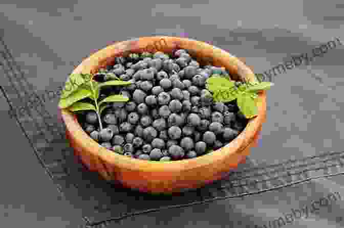 A Bowl Of Fresh Wild Blueberries The Wild Blueberry Virginia M Wright