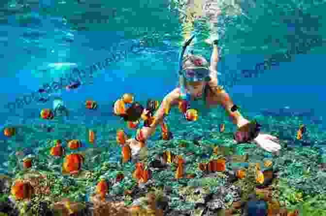 A Child Exploring The Great Barrier Reef Australia: Discover The Amazing Sites Of Australia For Kids And Facts