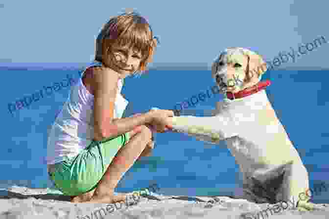 A Dog And A Kid Playing At The Beach The Mutts Summer Diaries (Mutts Kids 5)