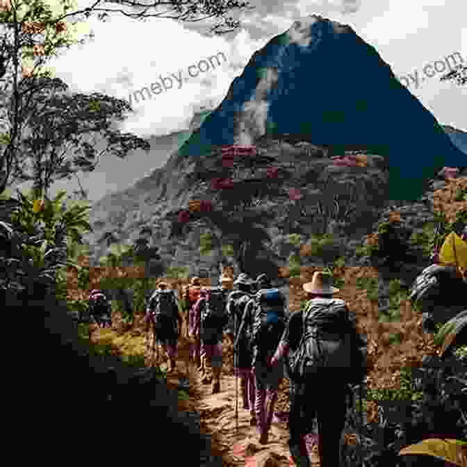 A Group Of Hikers Trekking Through A Lush Rainforest, Surrounded By Towering Trees And Vibrant Vegetation. Around The Edge Of The World And Up Petercave Creek