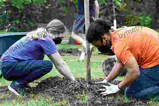 A Group Of Volunteers Planting Trees In A Reforestation Project AVITOPIA Birds Of El Salvador