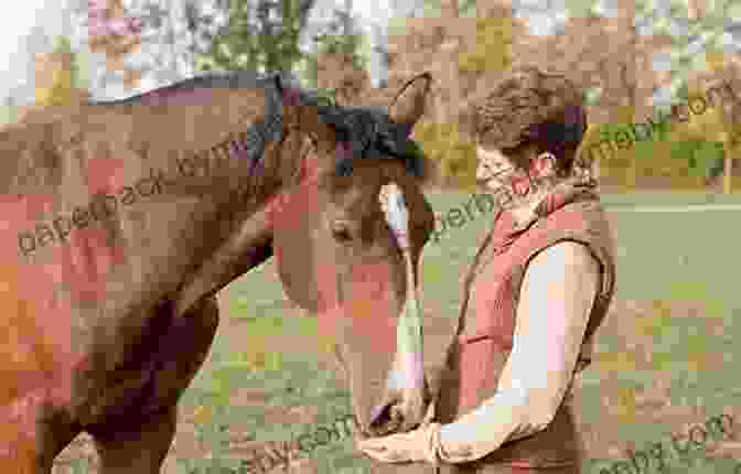 A Horse Standing In A Field, Representing The Allure And Connection Between Humans And Horses Zen Mind Zen Horse: The Science And Spirituality Of Working With Horses