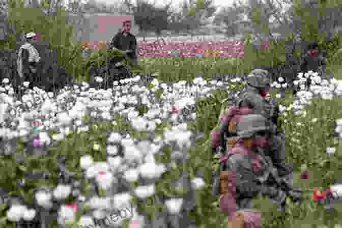 A Man Standing In A Field Of Poppies In Afghanistan Kabul Disco Vol 2: How I Managed Not To Get Addicted To Opium In Afghanistan