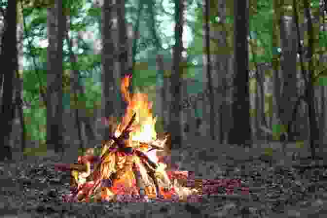 A Soldier Building A Fire To Stay Warm. Surviving With Navigation Signaling (Extreme Survival In The Military)