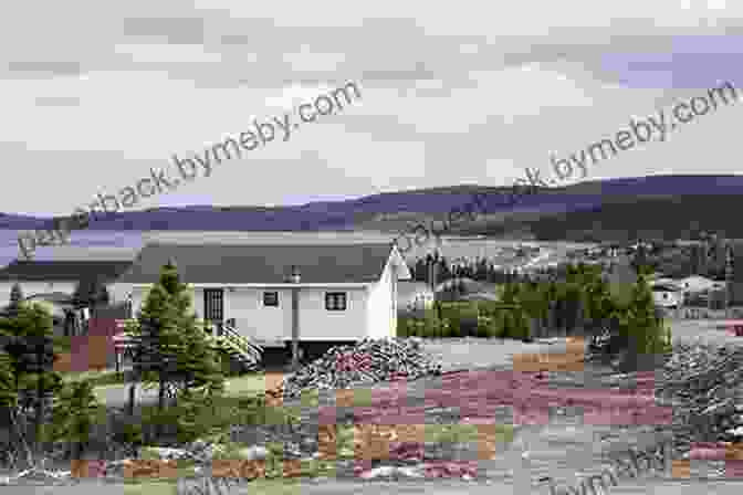 A Stunning Image Of The Port Hope Simpson Coastline, With Majestic Mountains And A Clear Blue Sky, Perfectly Capturing The Breathtaking Setting Of The Port Hope Simpson Mysteries. Right To The Top (Port Hope Simpson Mysteries 7)