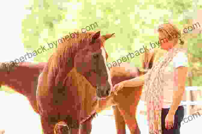 A Woman And A Horse Standing Together, Representing The Empowerment Gained Through Horse Connection Zen Mind Zen Horse: The Science And Spirituality Of Working With Horses