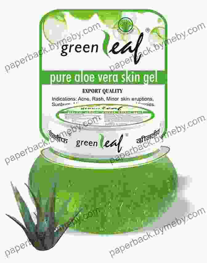 Aloe Vera Plant With Green Leaves And Gel Like Interior Rosemary Gladstar S Medicinal Herbs: A Beginner S Guide: 33 Healing Herbs To Know Grow And Use