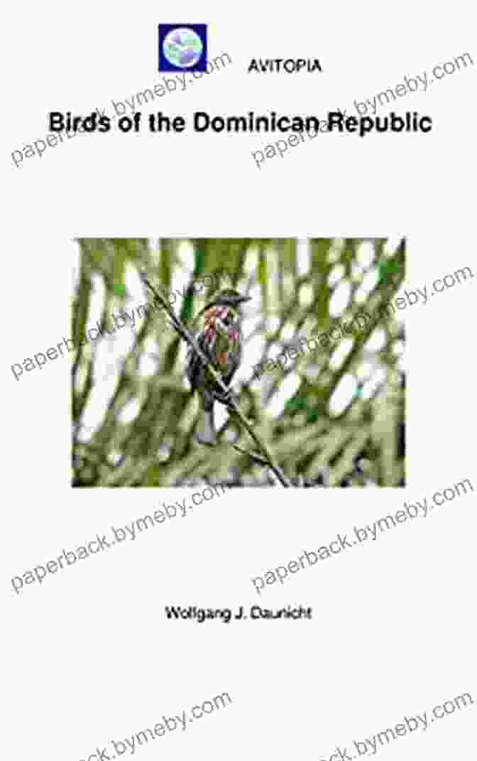 Avitopia Birds Of The Dominican Republic Book Cover Featuring A Stunning Photograph Of A Palmchat AVITOPIA Birds Of The Dominican Republic