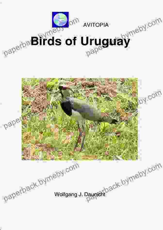 Avitopia Birds Of Uruguay Book Cover AVITOPIA Birds Of Uruguay