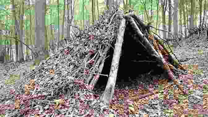 Building A Shelter In The Wild The Survival Manual: The Adventurer S Guide To Staying Alive In The Wild (TYG 2)