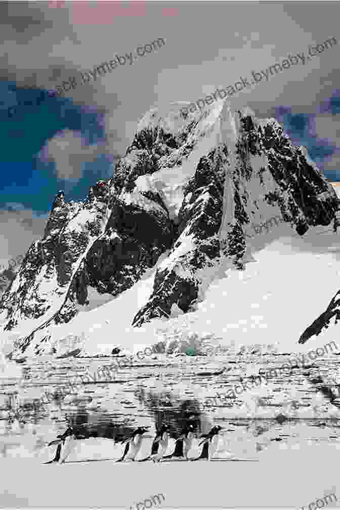 Curious Penguins Waddling Amidst Antarctic Ice Fields Antarctica Travel Guide With 100 Landscape Photos