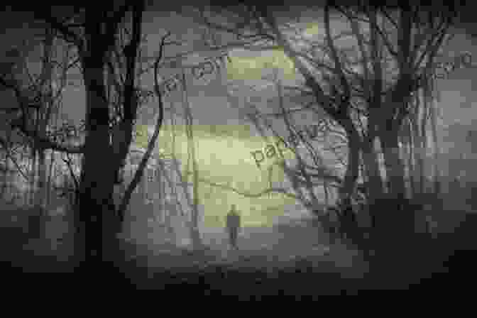 Eerie Image Of Ghosts In The Bruce Peninsula Forest The Bury Road Girls: Tales From The Bruce Peninsula