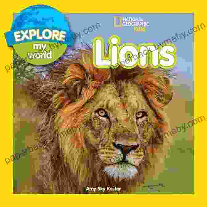 Explore My World Lions Book Cover With A Stunning Image Of A Majestic Lion Explore My World: Lions Kes Gray