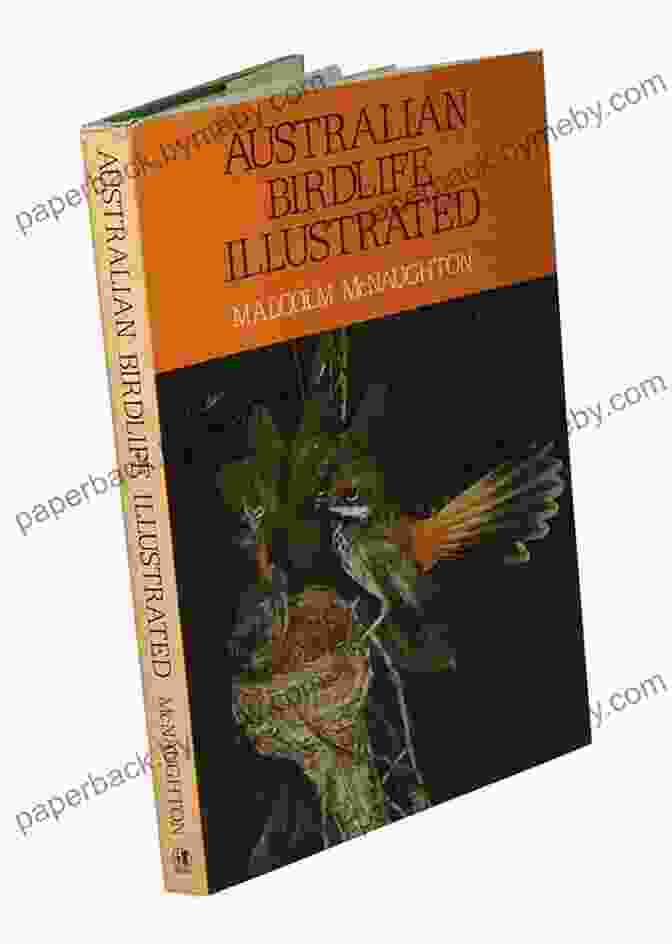 Exquisitely Illustrated Book Showcasing The Diverse Birdlife Of Micronesia AVITOPIA Birds Of The Federated States Of Micronesia