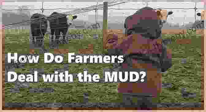 Farmer Mud And Farm Animals Searching For Glove Farmer Mud Loses A Glove