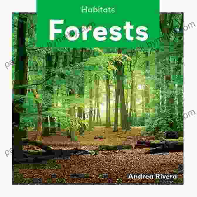 Friend Of The Forest Book Cover Showcasing A Lush Forest Scene With Vibrant Flora Friend Of The Forest