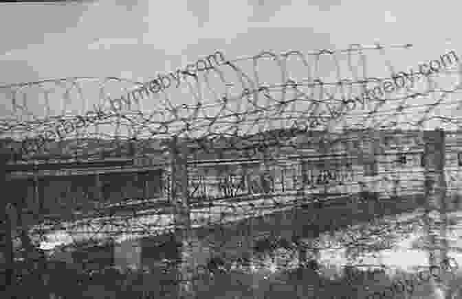 Grainy Black And White Photograph Of Detainees Behind Barbed Wire Fence At Honouliuli Internment Camp HAWAII: Bombs And Barbed Wire