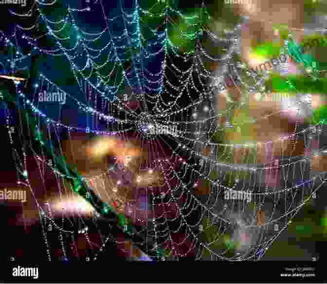 Intricate Spider Web With Dewdrops Wild Kratts Comic Book: Secrets Of The Spider S Web Chap 3