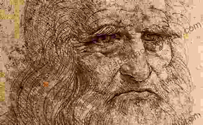 Leonardo Da Vinci, A Renaissance Enigma The Great Artist Da Vinci