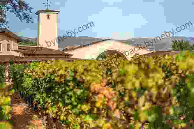 Napa Valley Wineries Napa Valley Select Wineries: The Napa Wine Project