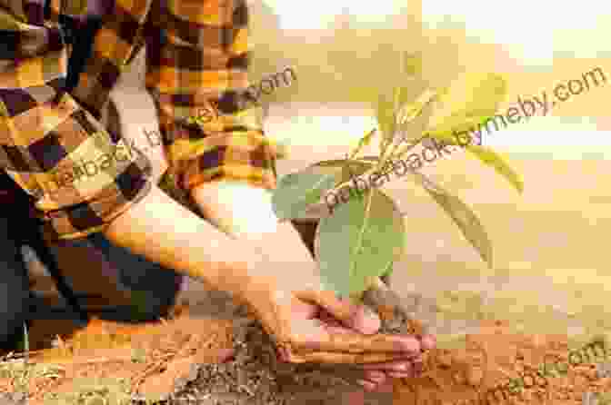 Otto And His Friends Planting A Tree, Symbolizing Hope And The Promise Of A Brighter Future Otto S Tales: Today Is September 11th