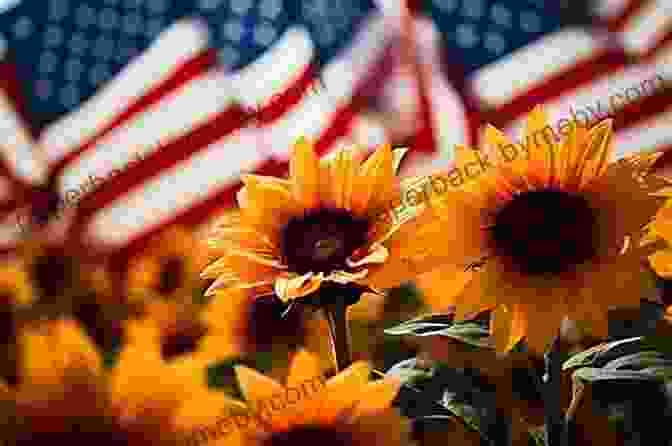 Otto Tales Standing Amidst A Field Of Sunflowers, Symbolizing Hope And Renewal Otto S Tales: Today Is September 11th