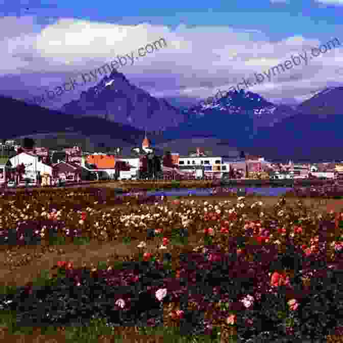 Panoramic View Of Ushuaia, Argentina, With Mountains, Water, And Colorful Houses TERRANCE TALKS TRAVEL: The Quirky Tourist Guide To Ushuaia (The Gateway To Antarctica)