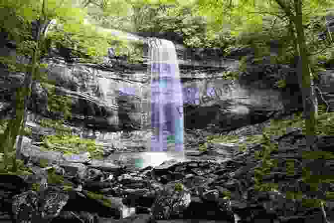 Rainbow Falls Trail In Great Smoky Mountains National Park Hiking Great Smoky Mountains National Park: A Guide To The Park S Greatest Hiking Adventures (Regional Hiking Series)