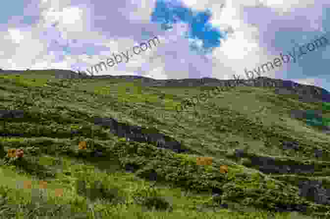 Rolling Green Hills Of Wicklow Country Jumper In Ireland