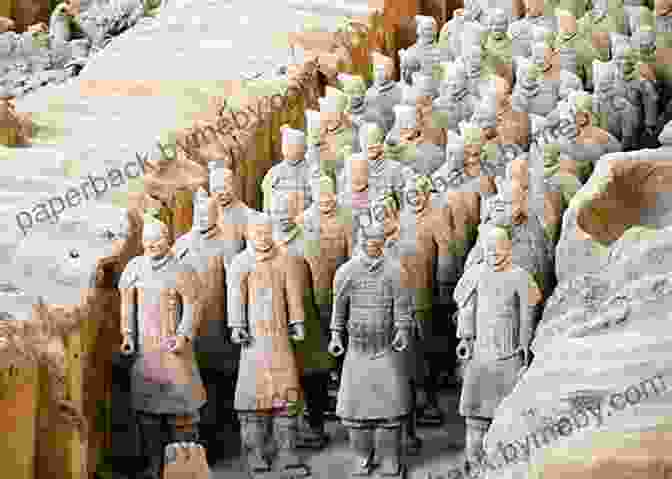 Rows Of Terracotta Warriors Discovered In Xi'an, China Ancient Cultures (Weird True Facts)