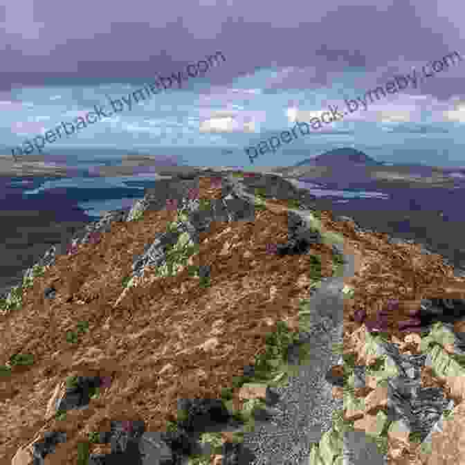 Rugged Coastlines Of Connemara Country Jumper In Ireland