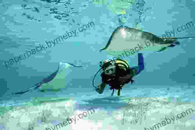 Santa Claus Diving In The Turks And Caicos Islands Where Does Santa Go On Vacation?