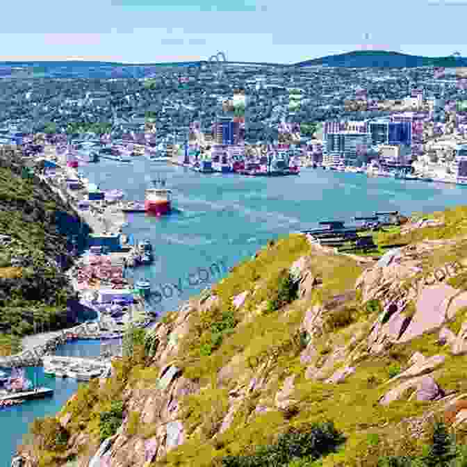 Scenic View Of The Newfoundland Coastline Yancy Sees L Anse Aux Meadows