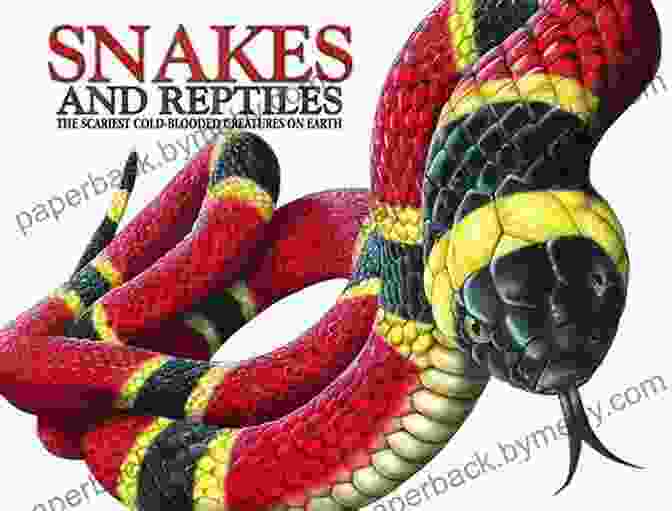 Snakes Book Cover Featuring A Colorful Illustration Of A Snake Snakes (Little Scientist) Martha E H Rustad