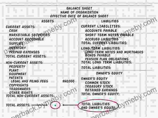 The Balance Sheet Accounting: A Comprehensive Guide For Beginners Who Want To Learn About Basic Accounting Principles Small Business Taxes And Bookkeeping Requirements (Start A Business)