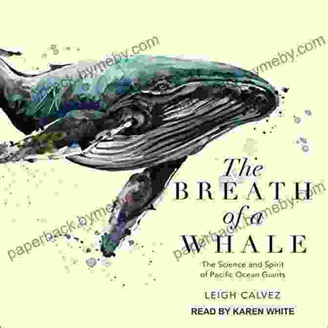 The Cover Of The Book 'The Science And Spirit Of Pacific Ocean Giants,' Featuring An Underwater Photo Of A Whale The Breath Of A Whale: The Science And Spirit Of Pacific Ocean Giants