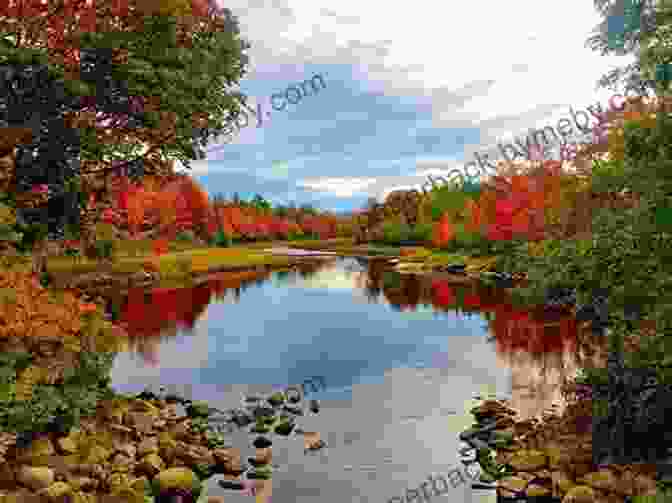 Vibrant Fall Foliage Frames Granite Peaks In Acadia National Park, Maine My Love Affair With The State Of Maine: By Scotty Mackenie