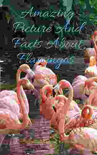 Amazing Picture And Fact About Flamingos (The Animal Kids Book)