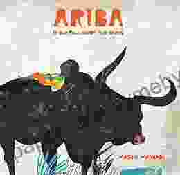 Ariba: An Old Tale About New Shoes