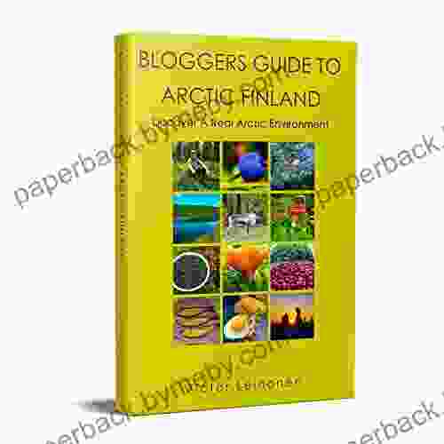 Bloggers Guide To Arctic Finland: Discover A Real Arctic Environment