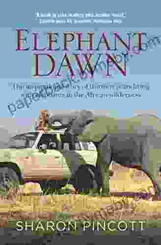 Elephant Dawn Sharon Pincott