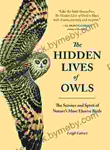 The Hidden Lives of Owls: The Science and Spirit of Nature s Most Elusive Birds