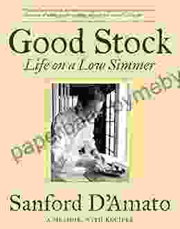 Good Stock: Life On A Low Simmer