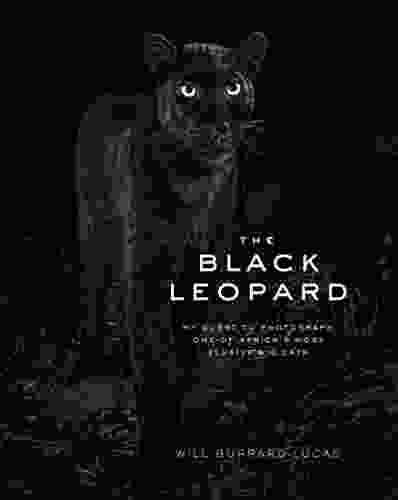 The Black Leopard: My Quest to Photograph One of Africa s Most Elusive Big Cats