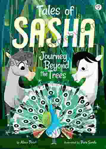 Tales of Sasha 2: Journey Beyond the Trees