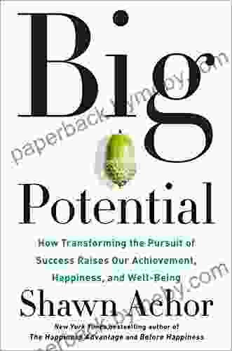 Big Potential: How Transforming The Pursuit Of Success Raises Our Achievement Happiness And Well Being